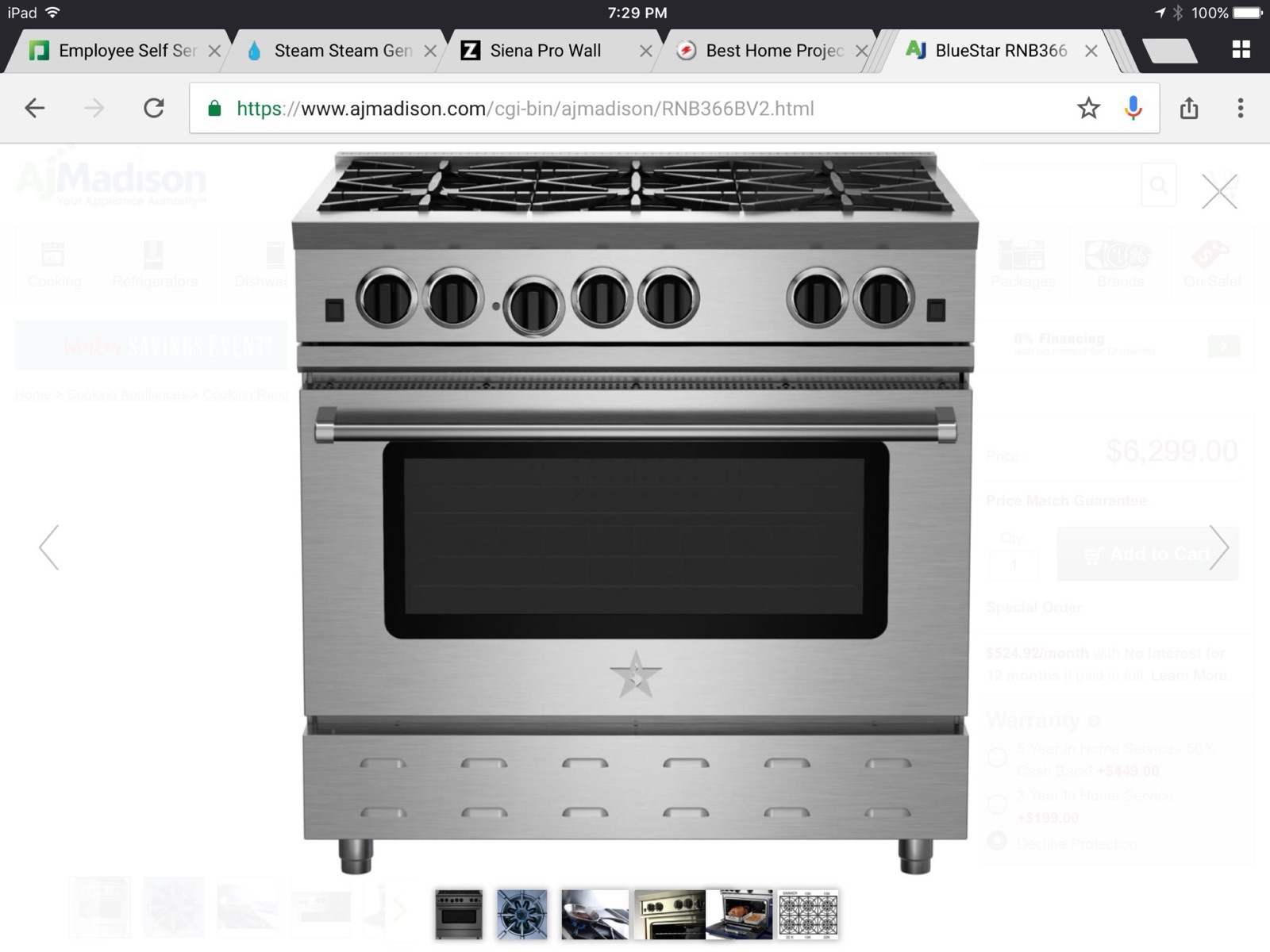 iPad browser screenshot from the 2017 build showing the BlueStar RNB366BV2 product page on AJ Madison.