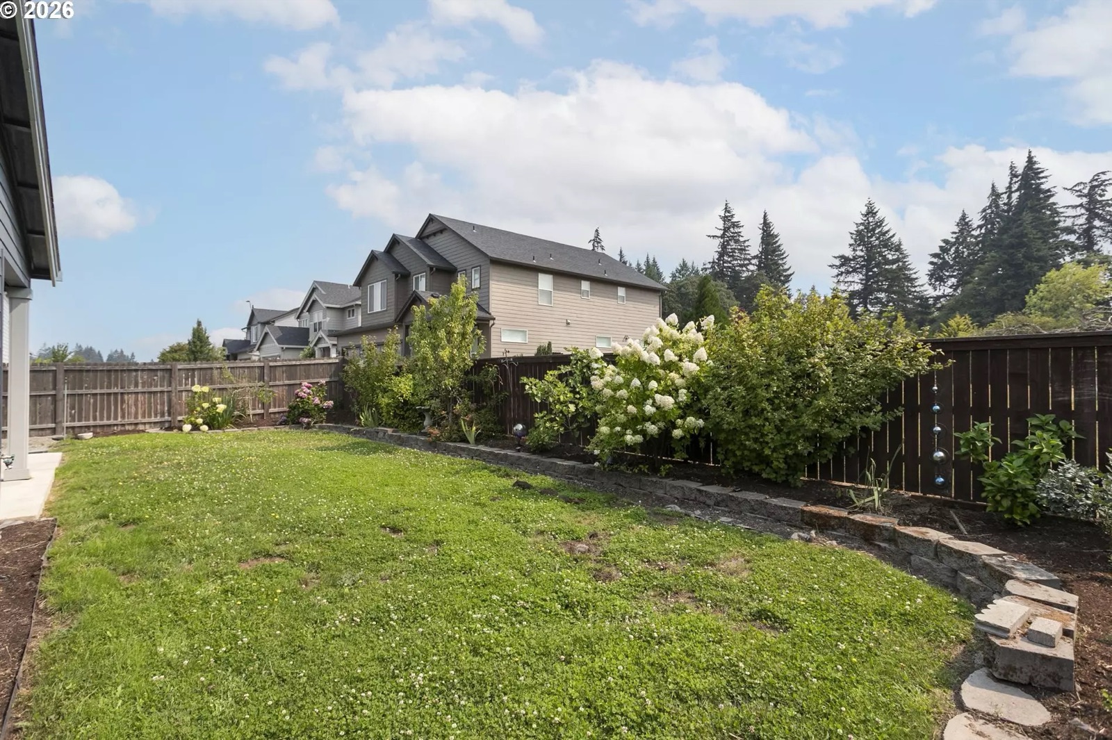 The back lawn looking along the fence line: mown grass, a low stacked stone retaining wall, a planted bed with flowering hydrangeas and shrubs running the length of the fence, and neighbouring houses and firs beyond.